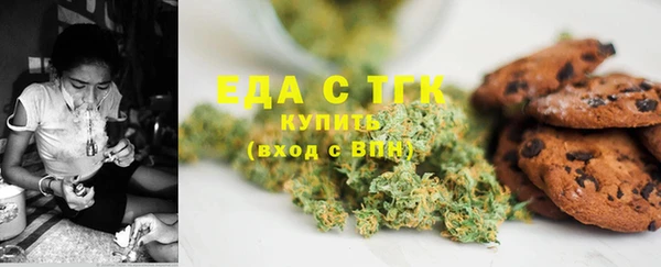 крисы Козельск