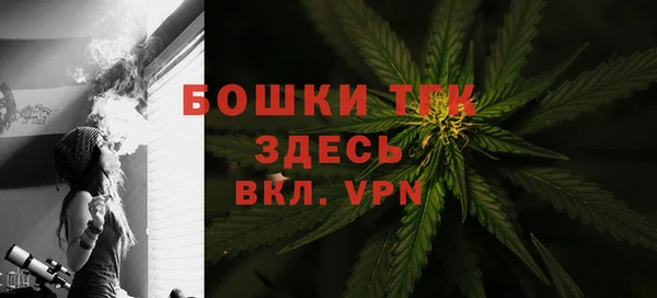 гашик Кодинск