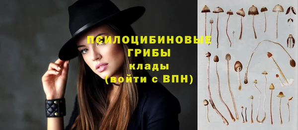 трава Кинешма