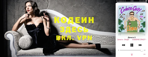 крисы Козельск