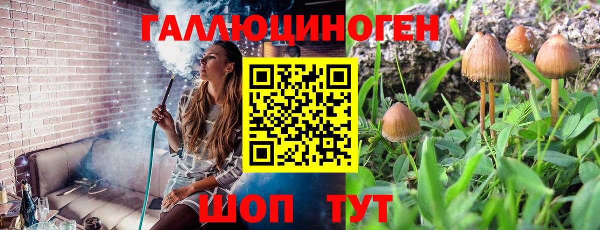 Галлюциногенные грибы мицелий  Псилоцибиновые грибы GOLDEN TEACHER  Унеча  Вход с VPN 