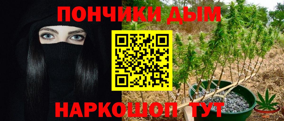 Шишки марихуана конопля  Вход с VPN  Марихуана тримм  Шишки марихуана OG Kush  Унеча 